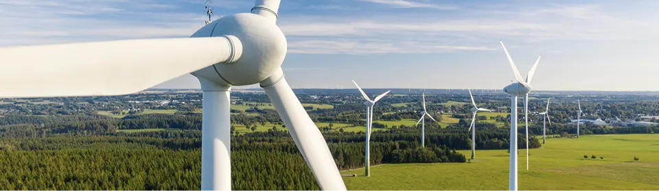 Vector Renewables